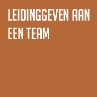 LEIDINGGEVEN AAN EEN TEAM